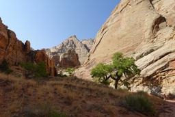 Green and buff [sat aug 30 09:26:14 mdt 2025]